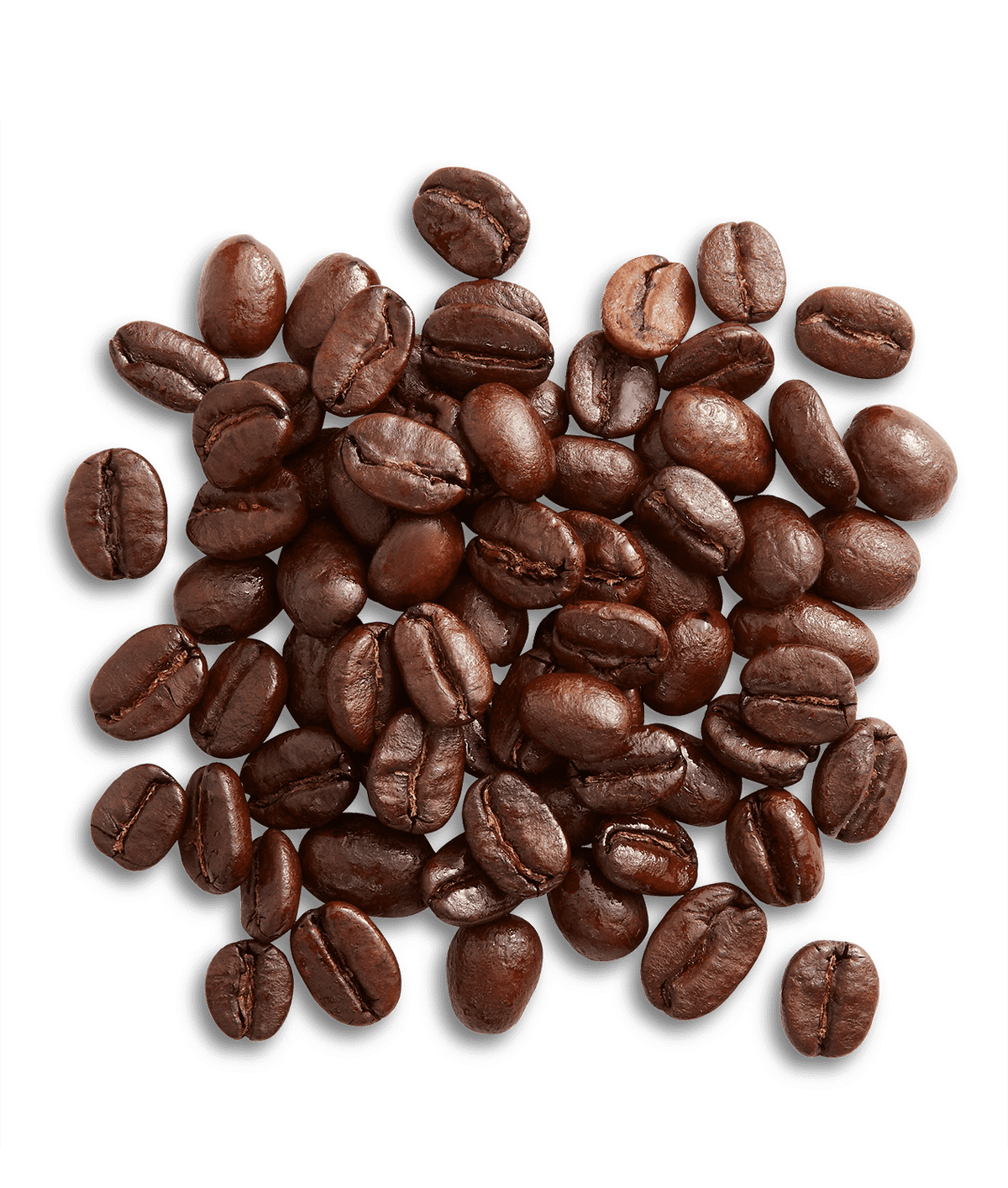 Peet's Holiday Blend Coffee beans shown up close with detail