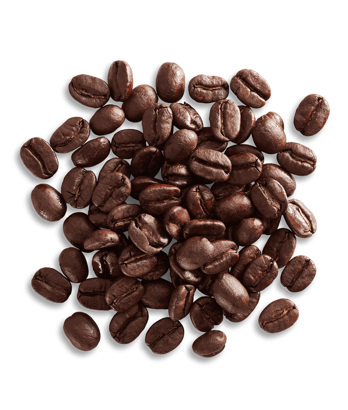 Peet's Nicaragua Angelina Estate Coffee beans shown up close with detail